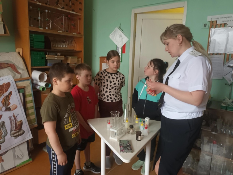 Живая лаборатория: знакомство с химией.